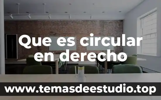 Concepto basico de que es contemporaneidad 6 Que es circular en derecho