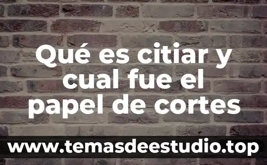 Símbolo lo que fue lo que sera lo que es 7 Qué es citiar y cual fue el papel de cortes