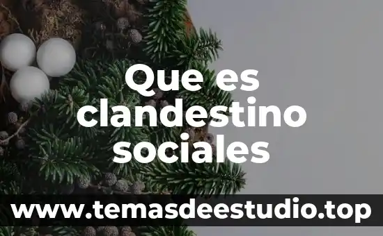 Qué es exacerbar en sociales 3 Que es clandestino sociales