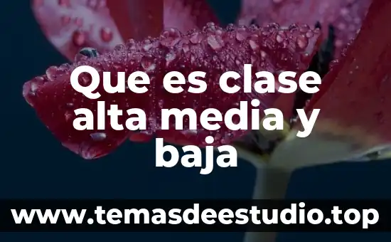 Que es planta de baja especificidad 5 Que es clase alta media y baja