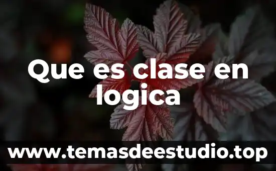 Qué es la complejidad y lógica no clásica 3 Que es clase en logica