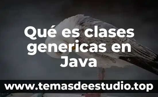 Qué es la investigación y sus clases 3 Qué es clases genericas en Java