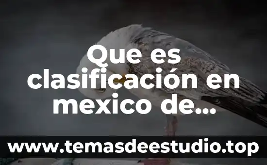 Que es semejanza matematicas clasificacion 7 Que es clasificación en mexico de codigo aduanero