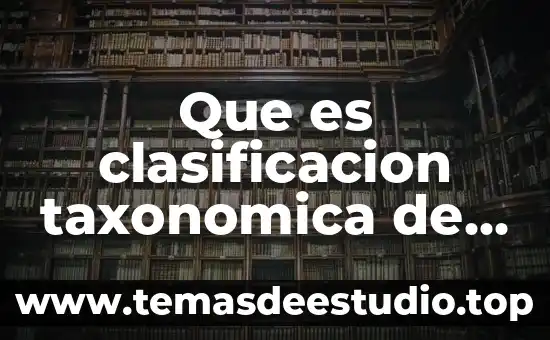 Que es el ciclo circadiano de las plantas 7 Que es clasificacion taxonomica de las plantas