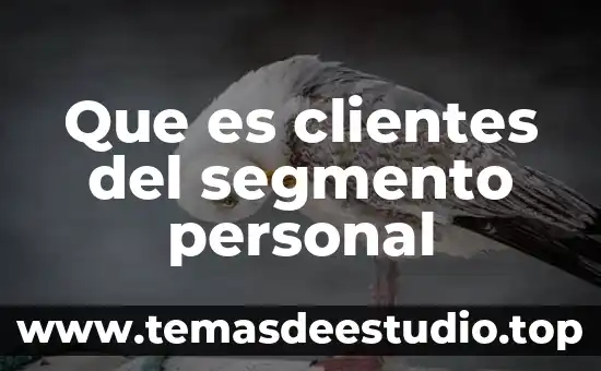 Qué es la deducción personal en lógica 6 Que es clientes del segmento personal