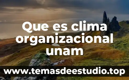 Que es el significado en la psicologia organizacional 7 Que es clima organizacional unam