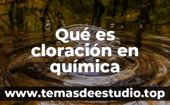 Que es el concepto de titulo 8 Qué es cloración en química