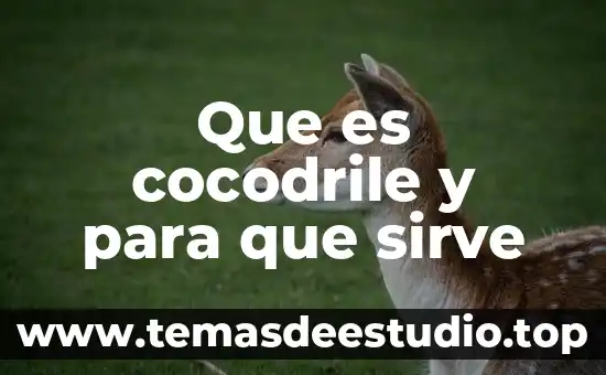 Que es cocodrile y para que sirve