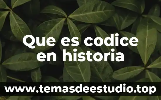 Que es la secularización en historia 4 Que es codice en historia