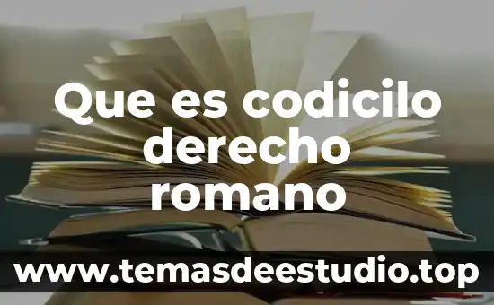 Que es el procedimiento extraordinario en derecho romano 7 Que es codicilo derecho romano