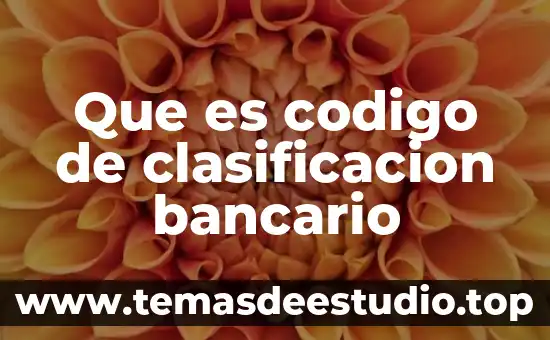 Que es el codigo 020 7 Que es codigo de clasificacion bancario