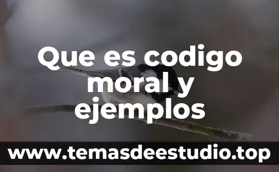 Que es hidrosolubles ejemplos 3 Que es codigo moral y ejemplos