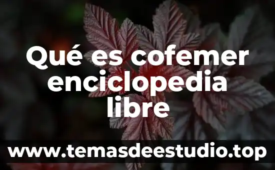 Que es desarrollo enciclopedia 5 Qué es cofemer enciclopedia libre