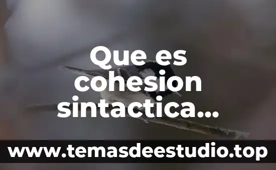 Qué es semántica sintáctica y pragmática ejemplos 3 Que es cohesion sintactica ejempos