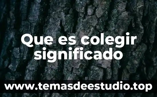 Qué es vespertina significado 7 Que es colegir significado