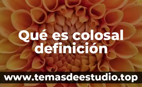 Qué es administración agropecuaria definición 6 Qué es colosal definición