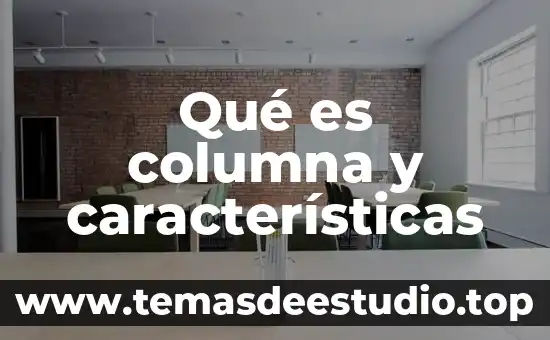 Que es la fuerza resistencia caracteristicas 3 Qué es columna y características