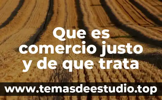 Qué es una comunidad en comercio internacional 5 Que es comercio justo y de que trata