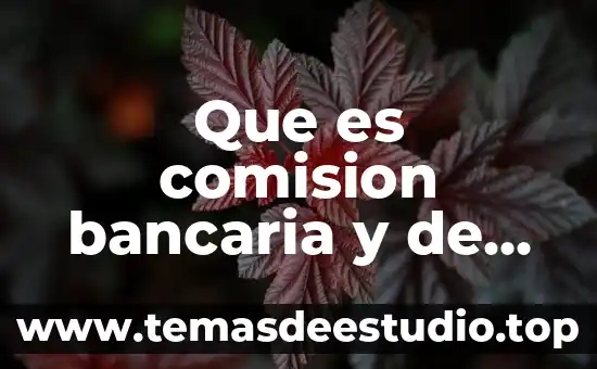Qué es protección civil en el mundo 3 Que es comision bancaria y de valores