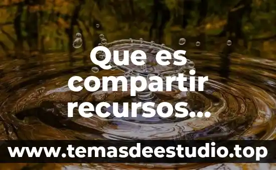 Que es el manejo de recursos economicos 6 Que es compartir recursos conectados al servidor
