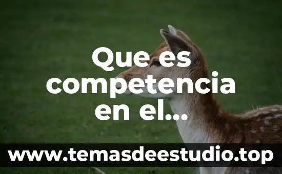 Que es offline en marketing 8 Que es competencia en el marketing