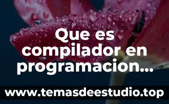 Que es el conocimiento actitudinal ejemplo 6 Que es compilador en programacion ejemplo