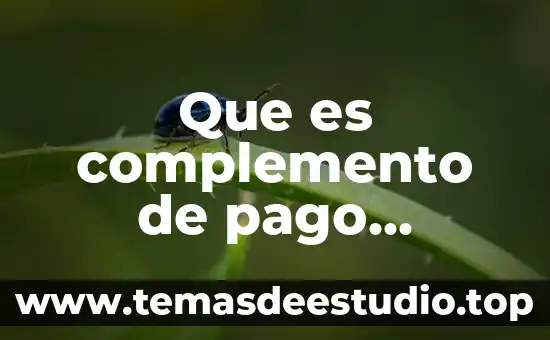Que es formato ts-hq 5 Que es complemento de pago formato