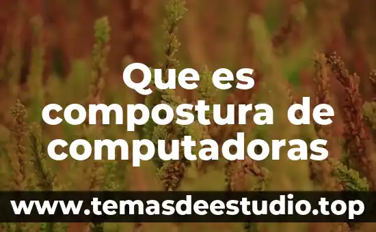 Que es compostura de computadoras