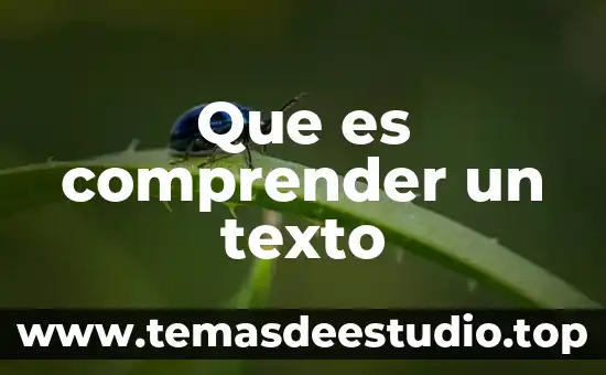 Por que es importante comprender el concepto de trabajo social 5 Que es comprender un texto