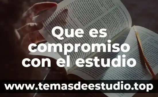 Estudio socioeconomico que es y ejemplos 4 Que es compromiso con el estudio
