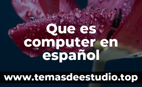 Que es ser fejado 8 Que es computer en español