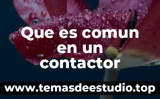 Que es un contactor de mercurio procesos 4 Que es comun en un contactor