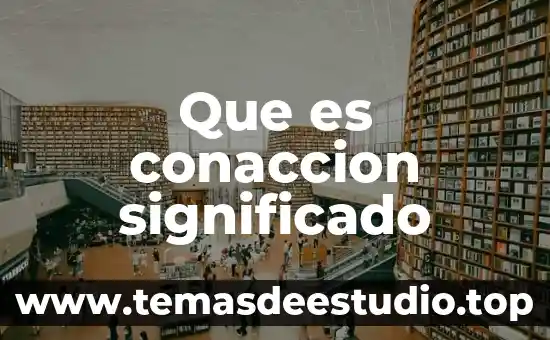 Fisiología que es significado y concepto 4 Que es conaccion significado