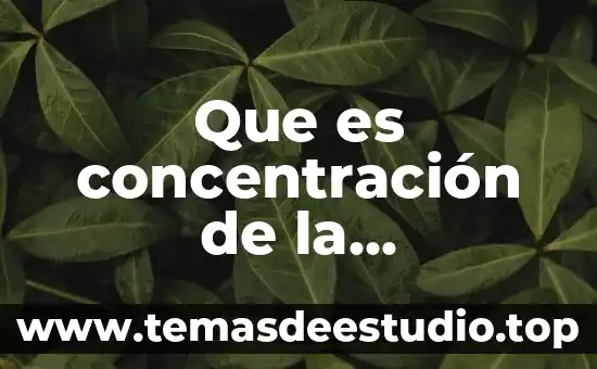 Que es area de concentracion en la uam 5 Que es concentración de la informacion