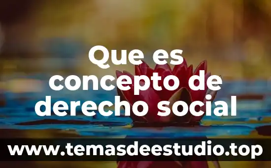 Que es concepto de derecho social