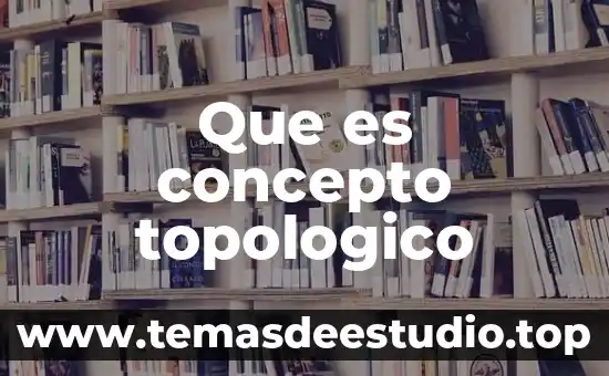 Que es concepto topologico