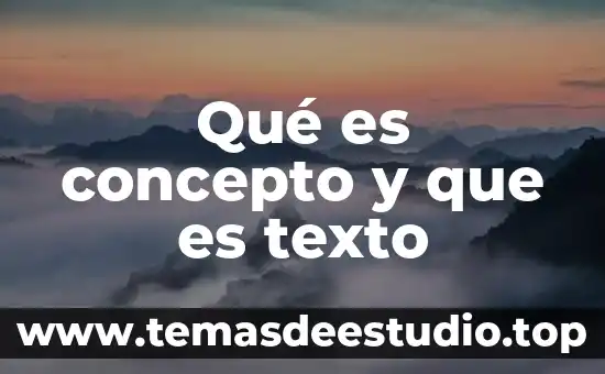 Qué es concepto y que es texto