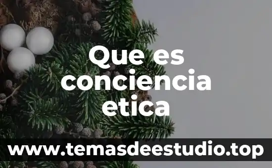 Que es conciencia etica