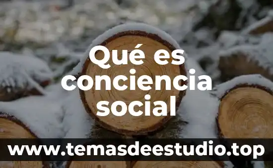 Cómo puede la conciencia reconocer lo que es bueno 3 Qué es conciencia social