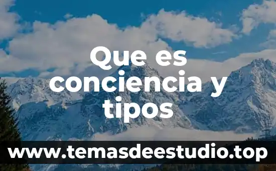 Cómo puede la conciencia reconocer lo que es bueno 8 Que es conciencia y tipos