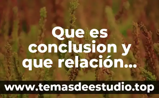 Qué es relación de inclusión ejemplos 3 Que es conclusion y que relación tiene con la observación