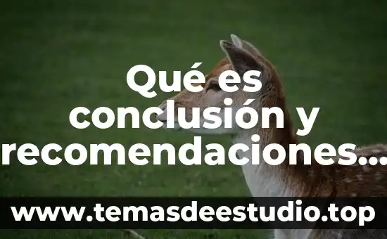 Qué es conclusión y recomendaciones de una auditoría informática