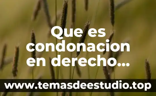 Que es ortoptero diccionario griego 3 Que es condonacion en derecho fiscal mexico