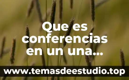 Que es conferencias en un una comunidad
