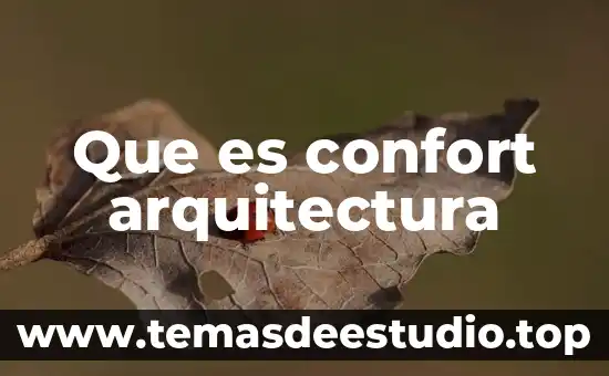 Que es confort en la arquitectura 3 Que es confort arquitectura