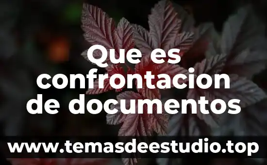 Que es cultura investigacion unam 8 Que es confrontacion de documentos