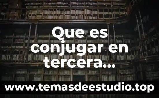 Que es una persona fisica y moral en una pymes 7 Que es conjugar en tercera persona