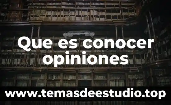 Que es un argumento y los tipos de opiniones 5 Que es conocer opiniones