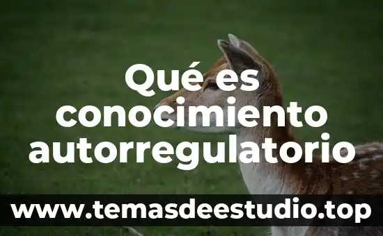 Que es el conocimiento para guillermo de ockham 5 Qué es conocimiento autorregulatorio