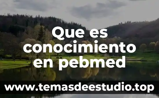 Que es conocimiento en pebmed